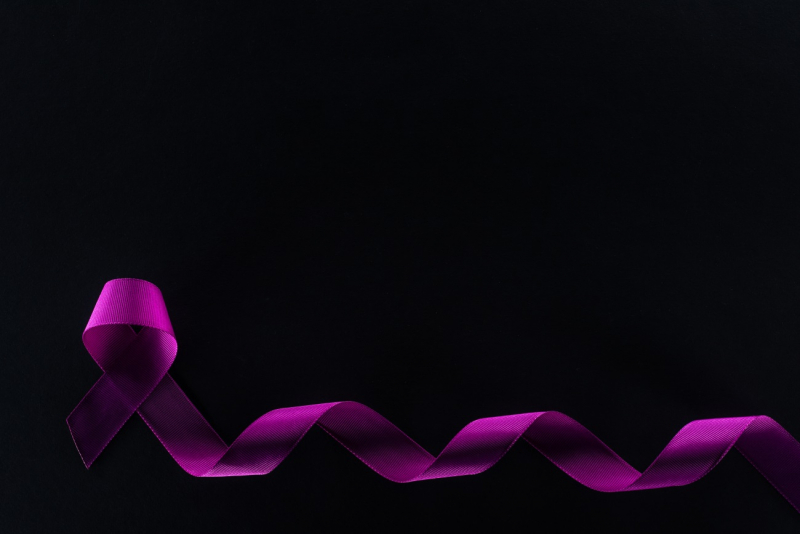 lazo morado lazo morado